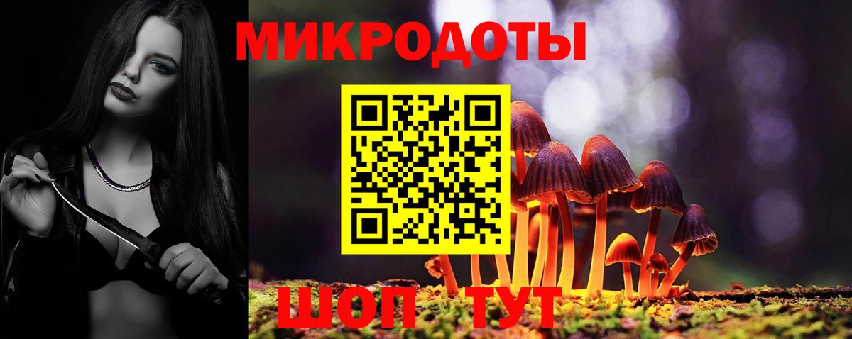 Галлюциногенные грибы Psilocybe Новочеркасск