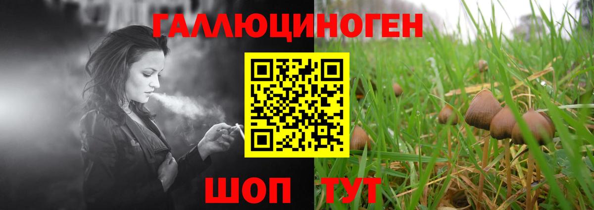 Новочеркасск  Галлюциногенные грибы Psilocybe  Вход с VPN  Галлюциногенные грибы Cubensis 